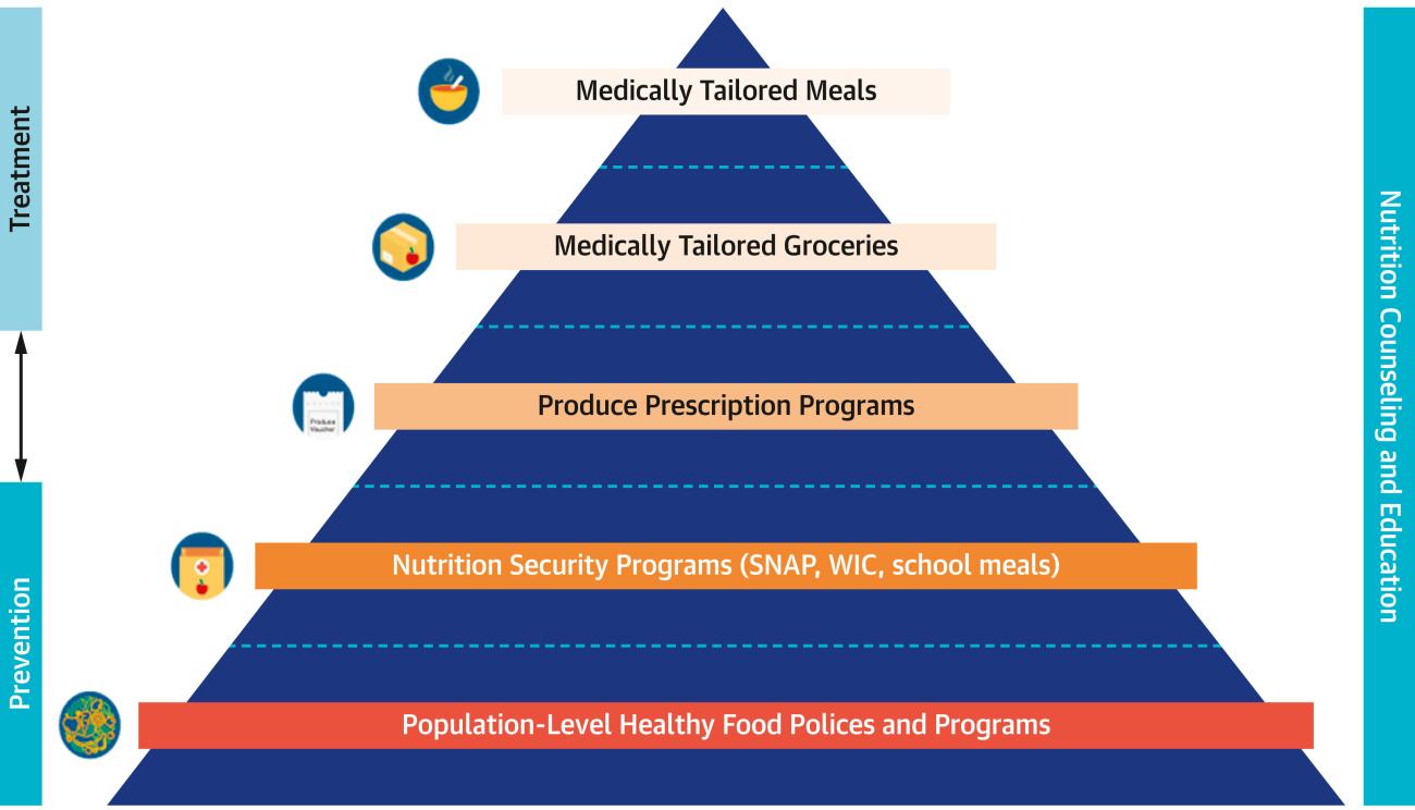 A pyramid graph showing a framework for Food is Medicine.
