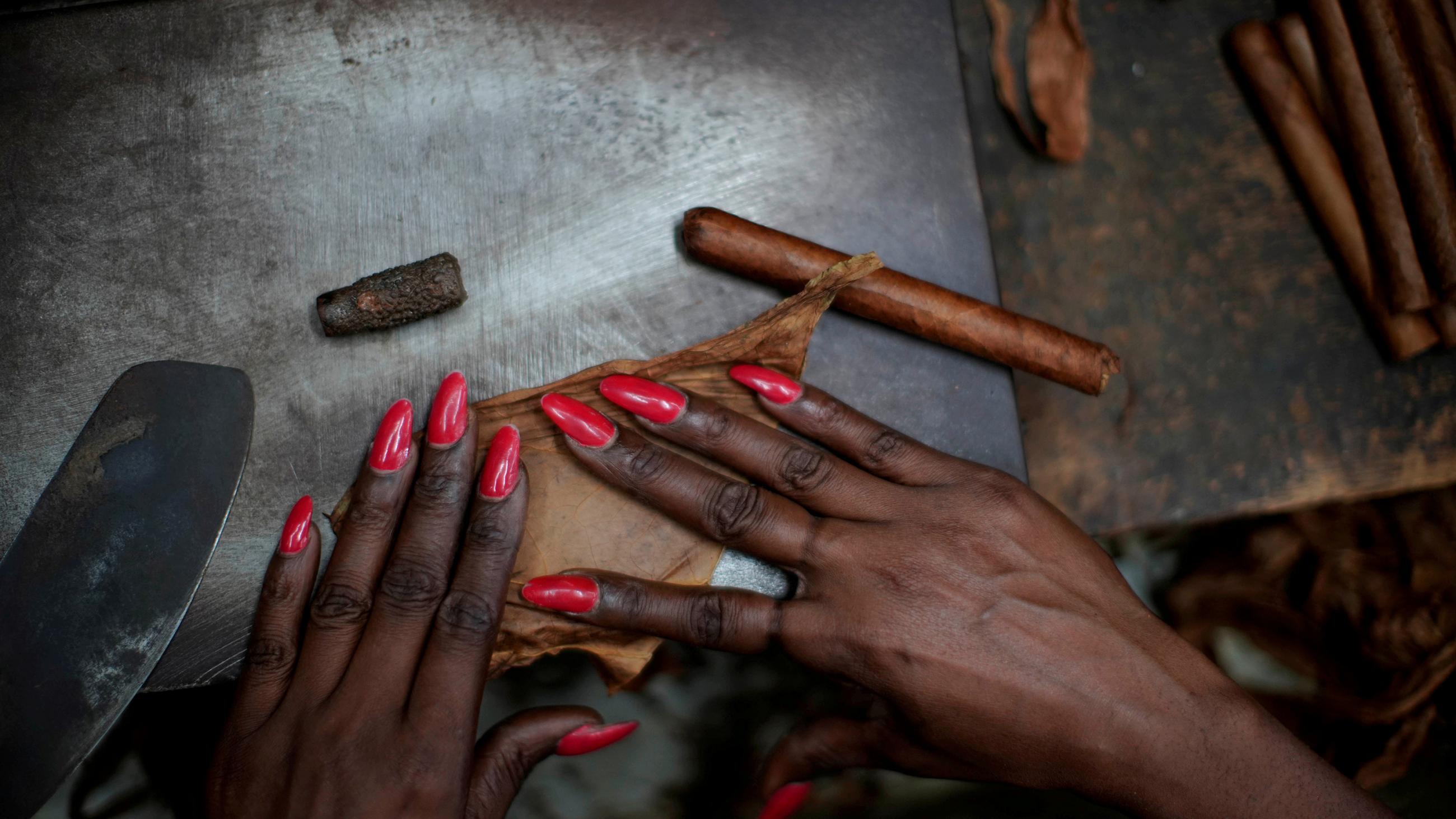 The photo shows a pair of hand with long, bright-red-painted nails rolling a cigar. 