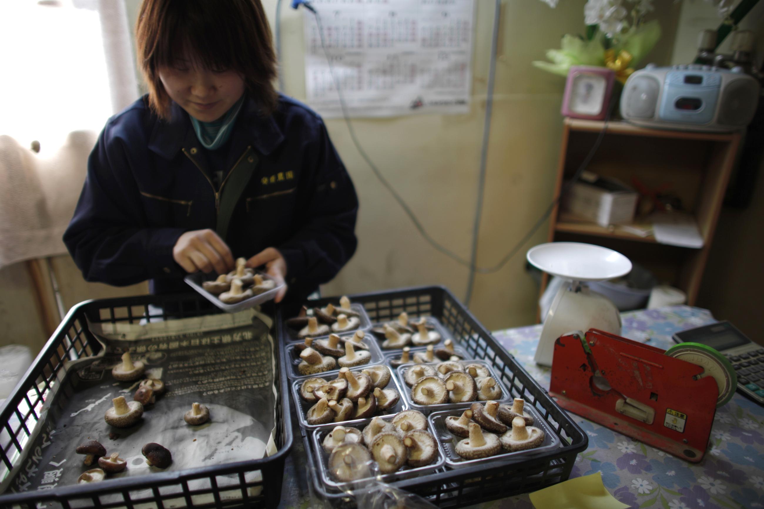 Niiwa Anzai, packs shiitake mushrooms at the Anzai family farm.