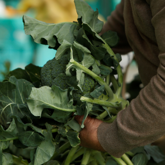 A close-up image of a man's arm in a brown sweater carrying a big armload of leafy broccoli at a farmers market in Ta' Qali, Malta, on February 6, 2018. 