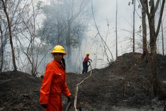 Volunteers of the Central University of Venezuela firefighter brigade battle a wildfire in Henri Pittier National Park.