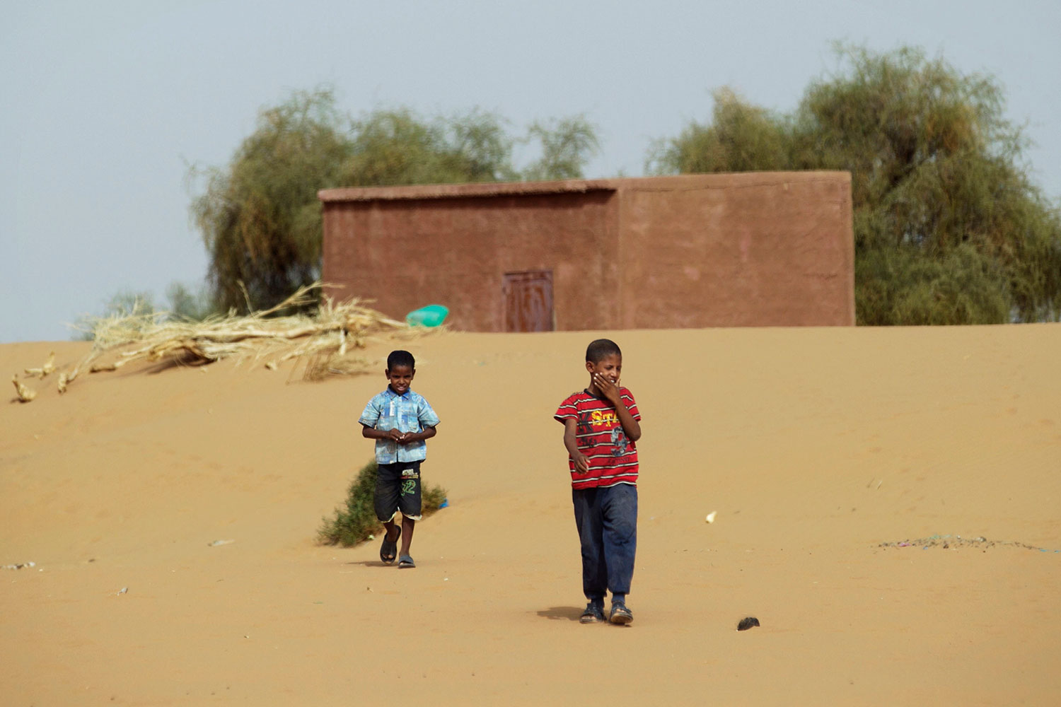 Boys walk on desert sands in the town of Moghtar-Lajjar in west Africa's Sahel region, scene of a drought, in May 25 2012. They