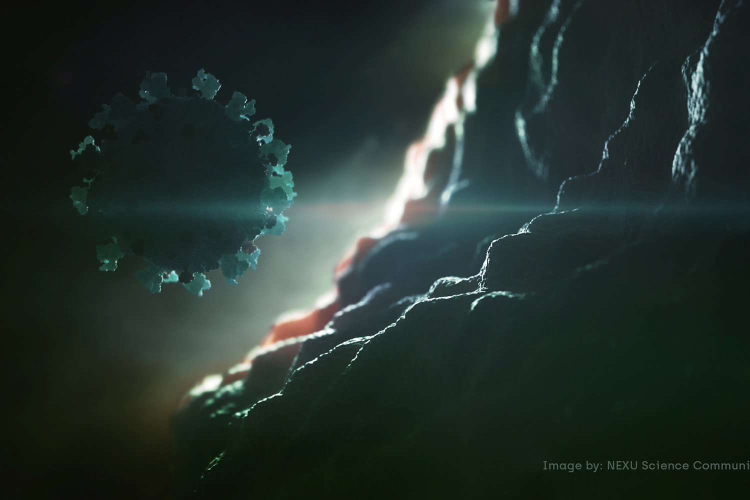 Image is an artistic illustration of the virus, as if under a microscope but with dramatic lighting.