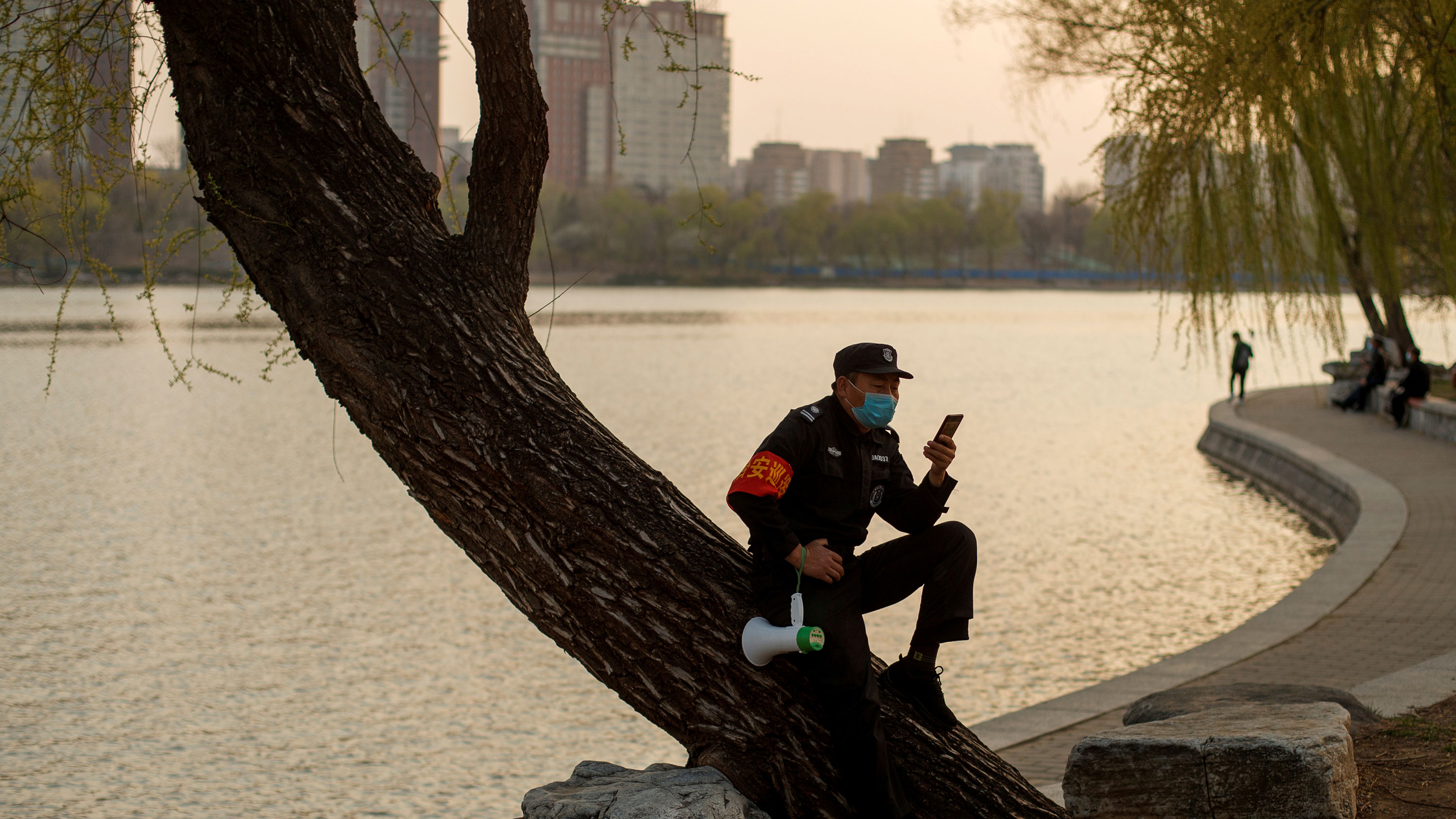 The photo shows a man sitting in a tree by a lake with a meandering walk. He is looking at his phone.