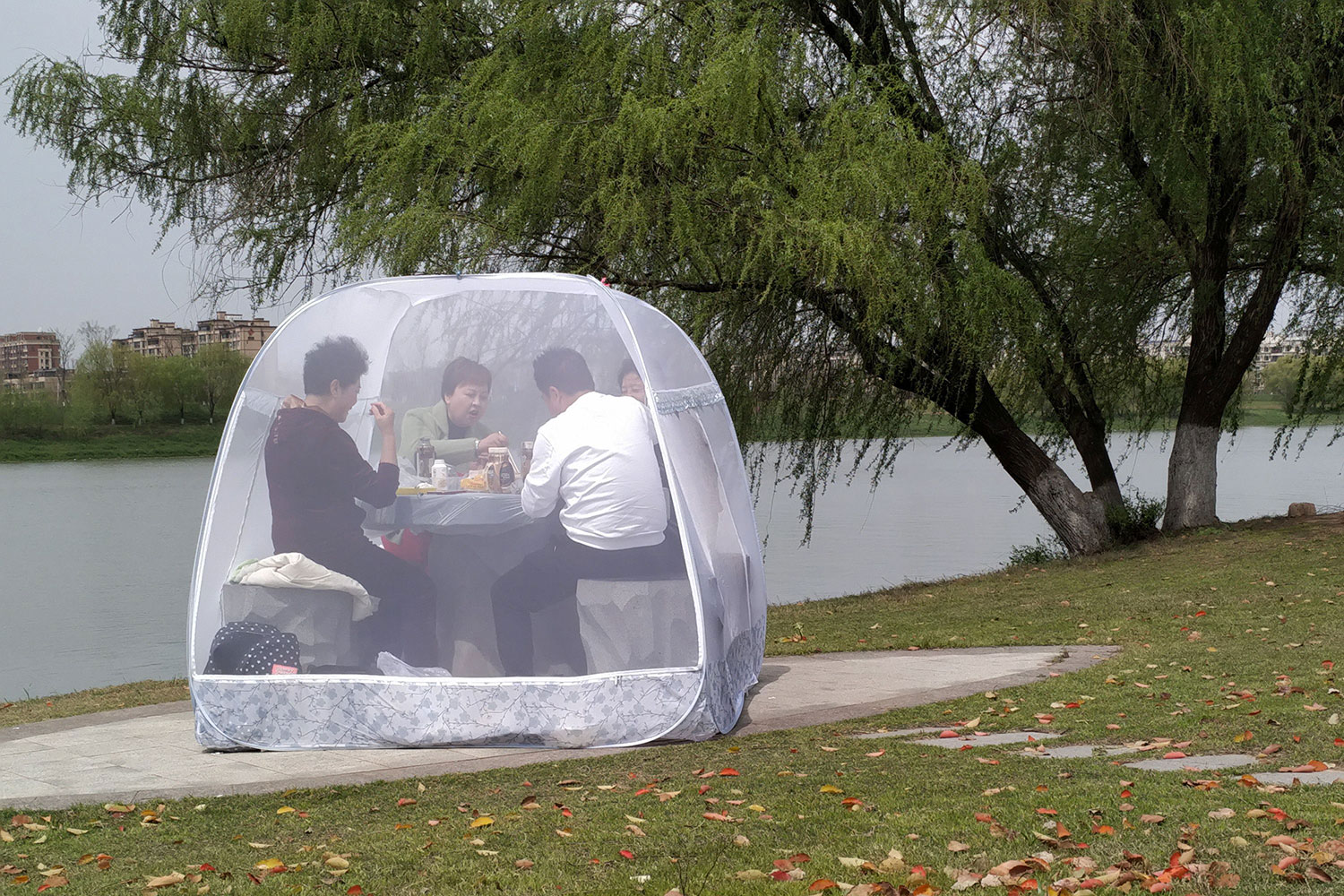 The photo shows a family in a bubble tent in a park on a beautiful day. Picture taken March 24, 2020.