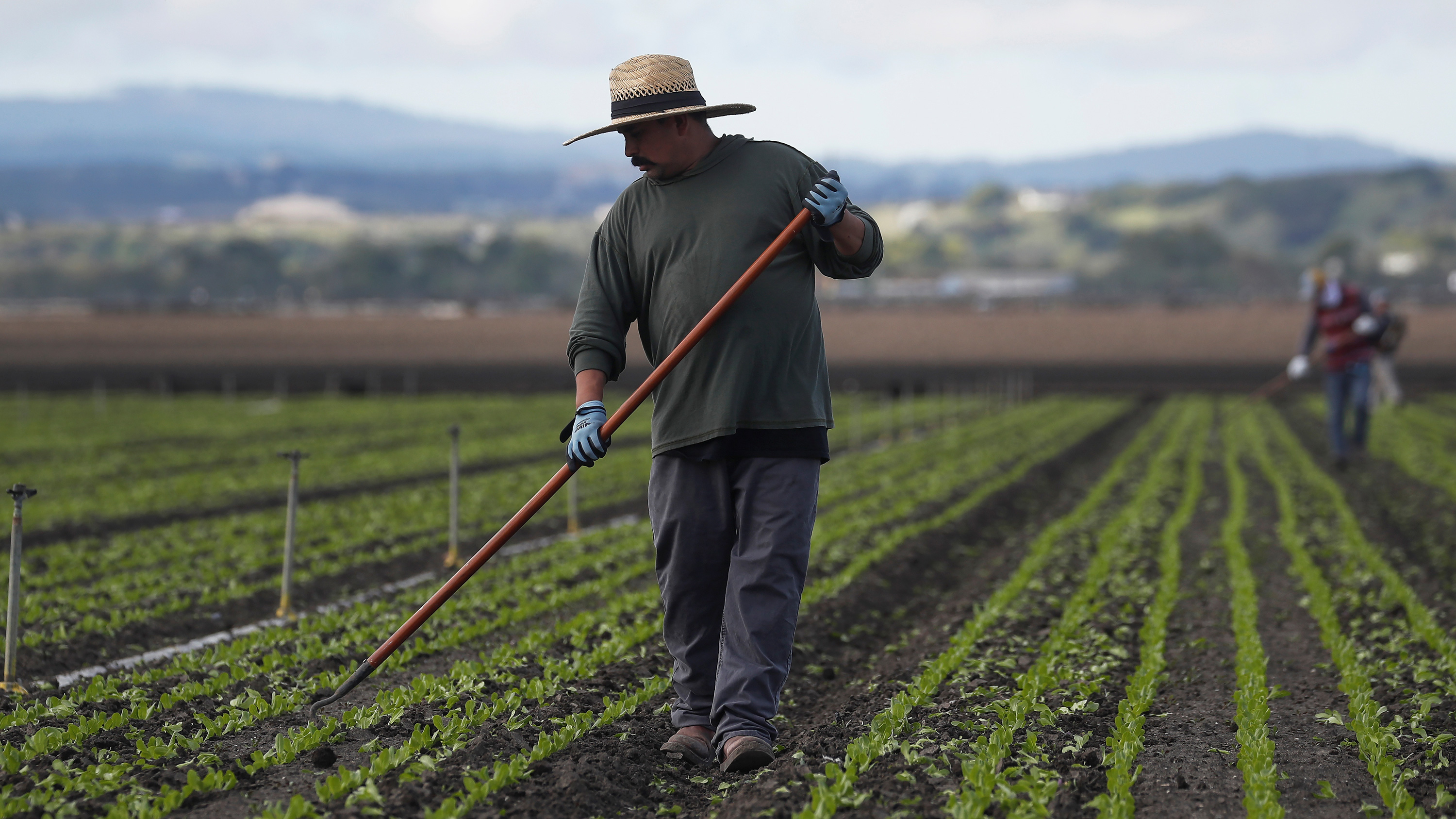 Picture shows Cesar working with a hoe in his hand.