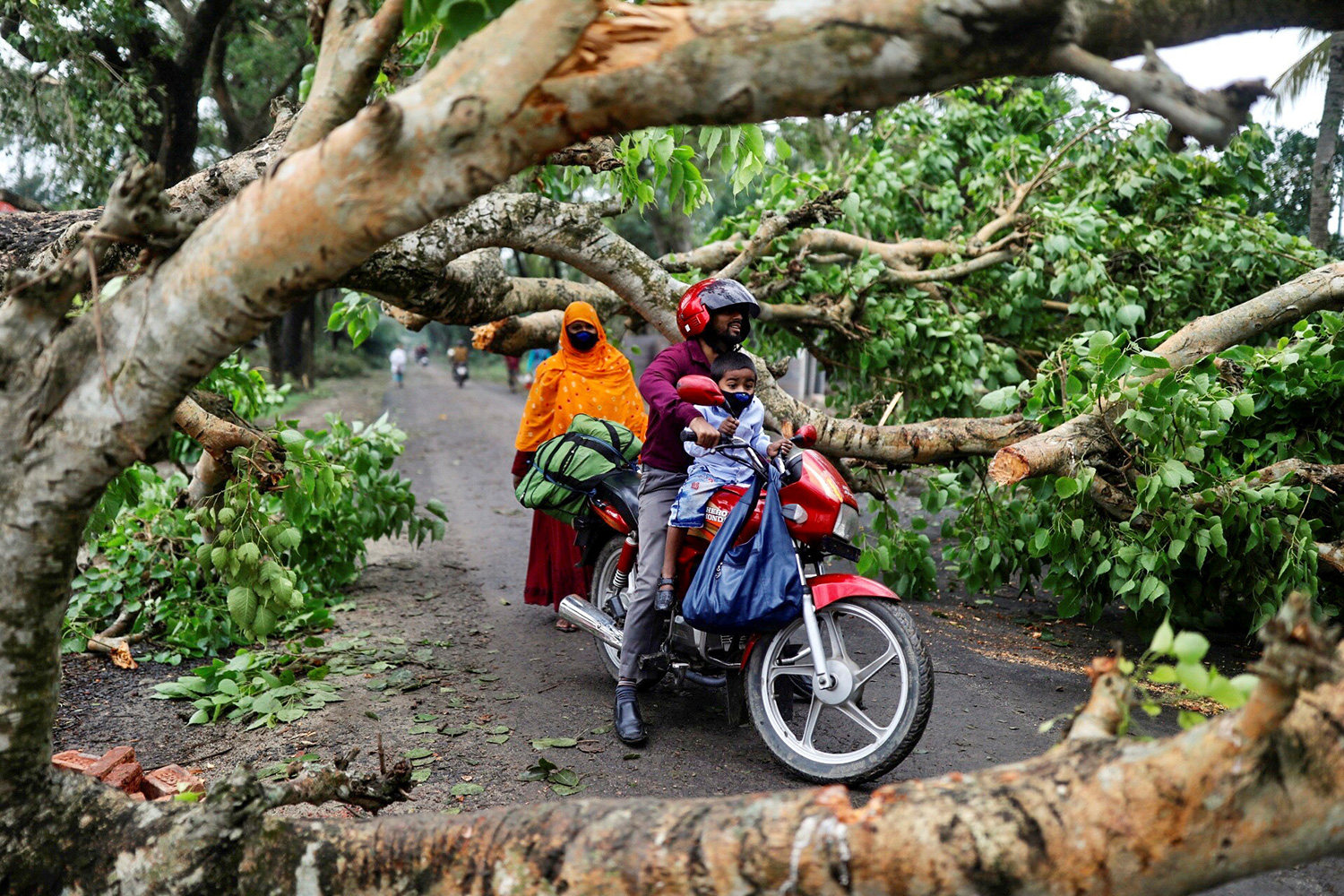 The photo shows the man and child trying to navigate a street fouled with the thick branches of downed trees.