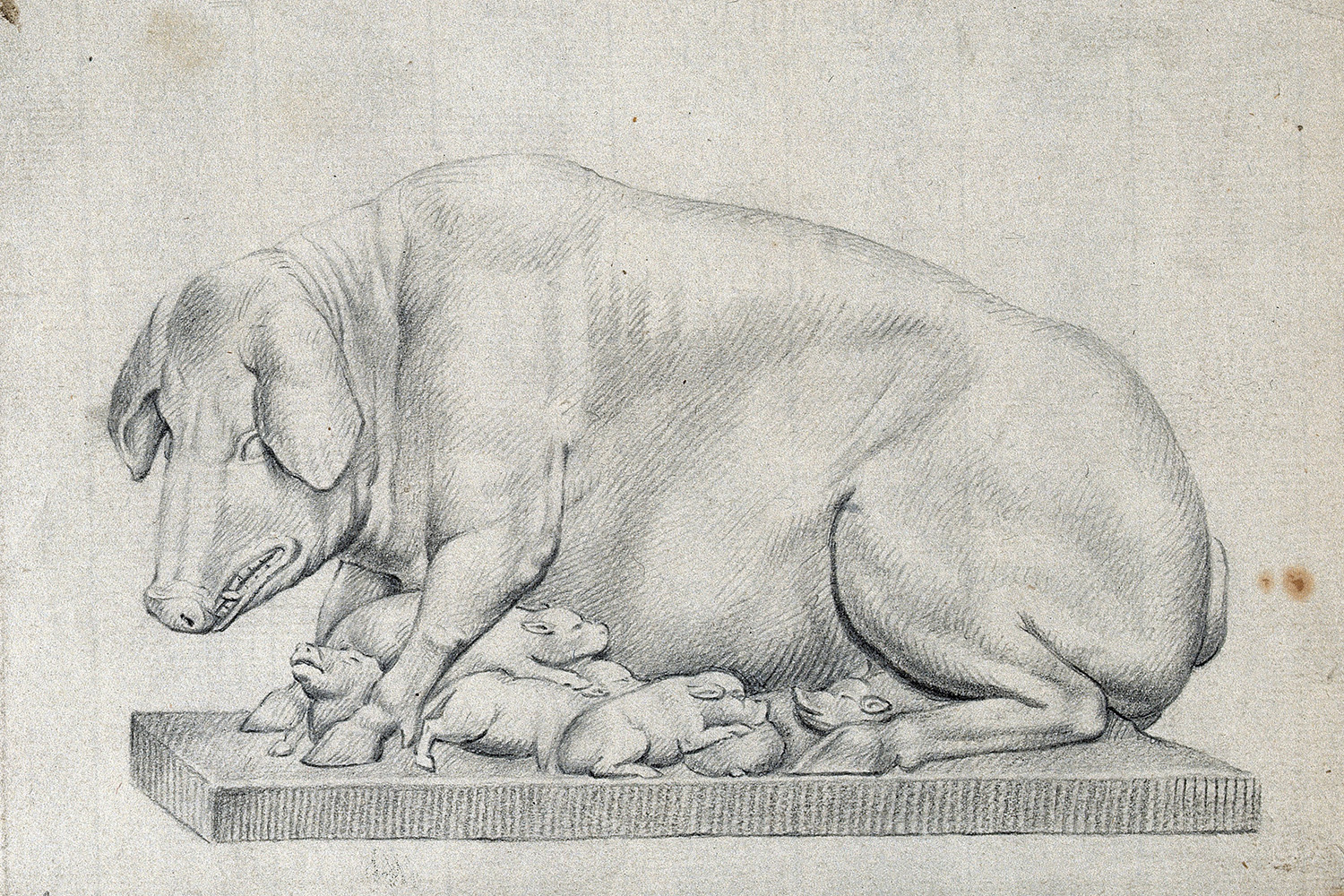Pig Pandemics and Other Pig Pandemics and Other