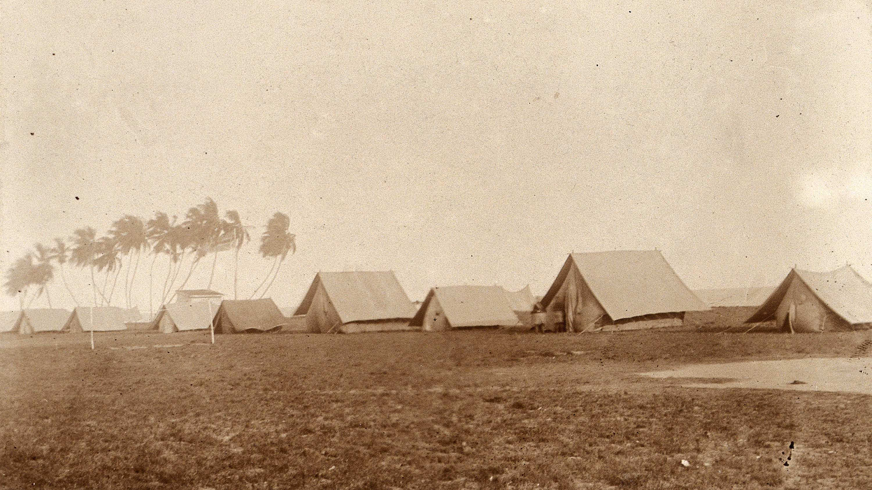 The historic black-and-white photo shows rows of tents with palm trees to one side.