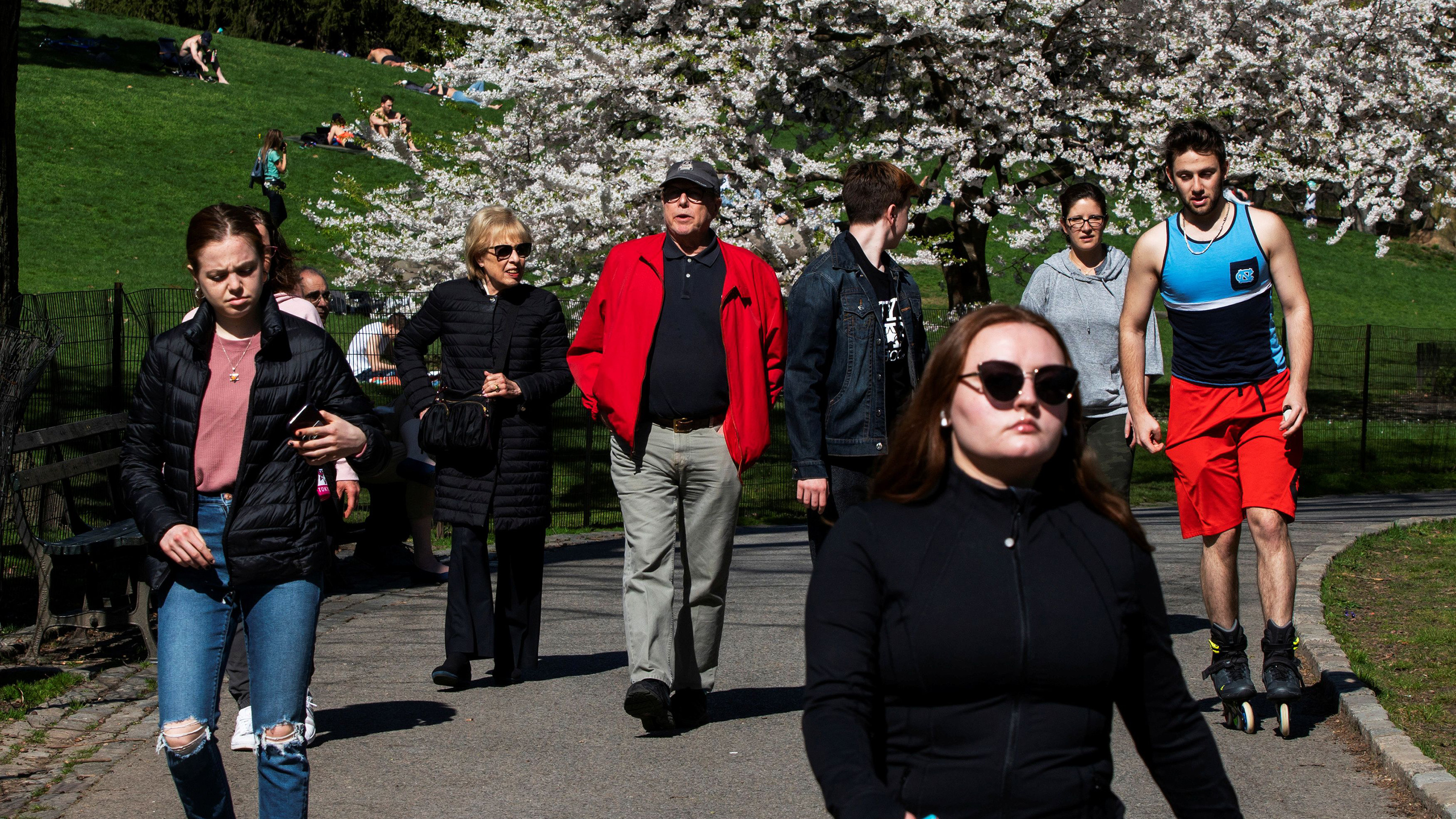 The photo shows a number of people walking down a broad path through the park.