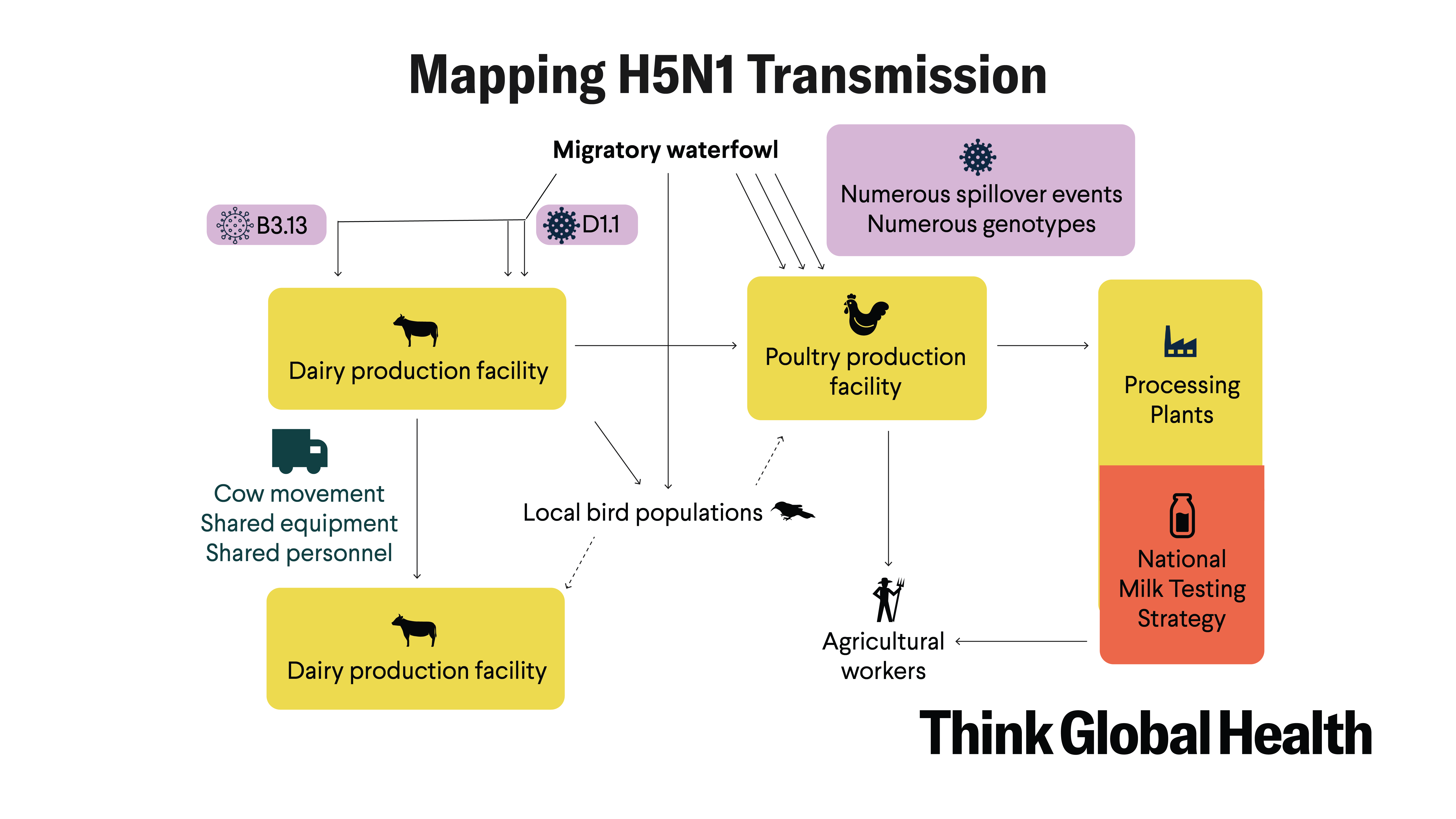 New Bird Flu Spillovers Threaten U.S. Milk and Eggs New Bird Flu Spillovers Threaten U.S. Milk and Eggs