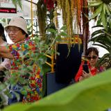 Passengers fill a plant-filled bus, a special route that ran for 5 days, promoting the concept of integrating more green space into cities, in Taipei , Taiwan (2017).