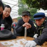 A group of men crouch over a board game inside the Jiutian Greenhouse in Langfang, Hebei province, China, where they've come to escape heavy smog outside.