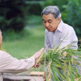 Japan's Emperor Akihito (R) is helped by an unidentified palace official after he harvested rice on a paddy field in the compounds of the Imperial Palace grounds in Tokyo, on September 25, 2006.