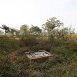 An open toilet is seen in a field in Gorba in the eastern Indian state of Chhattisgarh, India, on November 16, 2015. 
