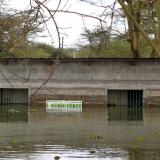 s a toilet block in Kenya, submerged after the water levels at Lake Naivasha bulged to record high. 