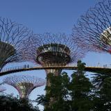 Visitors walk along an elevated walkway connecting giant concrete tree-like structures called Supertrees at Gardens by the Bay in Singapore May 28, 2014.