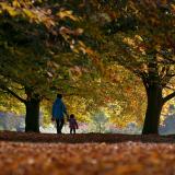 A woman and child walk through fallen leaves in Clarke's Gardens in Liverpool, United Kingdom (2015).