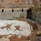 Roman latrine