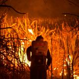 A farmer burns a sugar cane field at night as local growers try to avoid arrest by authorities who banned the practice in an effort tp curb smog in Suphan Buri province, north of Bangkok, Thailand, on January 20, 2020