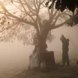 a man adjusts a string tied to a tree on the banks of the Yamuna river on a smoggy morning in New Delhi, India