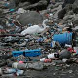 Panama City, Panama In 2019, Panama became the first country in Central America to ban all single-use plastics in a bid to curb pollution on its beaches.     Plastic waste is seen on the shore of a beach in Panama City, Panama, on July 19, 2019. 