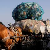 A chestnut colored horse with a black mane stands outside of landfill carrying a cart filled with plastic bottles