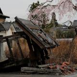 A traditional-style Japanese house stand with its roof caved in on a grey day. Next to the house stands a cherry blossom tree blooming with pink flowers and an ornate lamp post.