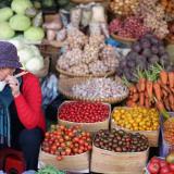  female fruit vendor sits at her kiosk in a market, in Dalat, Vietnam. 