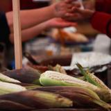 Corn cobs are pictured during the Corn and Milpa Fair in the Zócalo square as people celebrate Día Nacional del Maíz (National Corn Day), in Mexico City, Mexico, on September 29, 2022. 