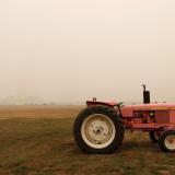 A pink tractor sits at Iverson Family Farms near Monitor, Oregon, U.S., September 17, 2020.