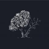 a sketch of a tree done in white is seen against a deep navy blue blackground