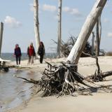 Three women walk along a white beach with white trees on a coastline. 