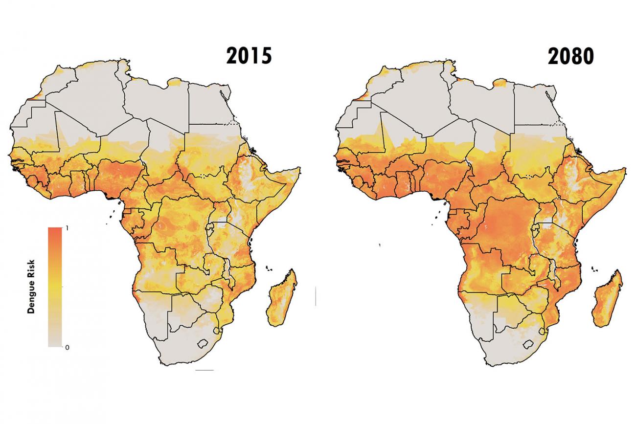 Visualization shows two maps of Africa, representing the continent in 2015 and 2080. The risk of contracting Dengue is shown on the charts with greater risk across much of sub-Saharan Africa in 2080.