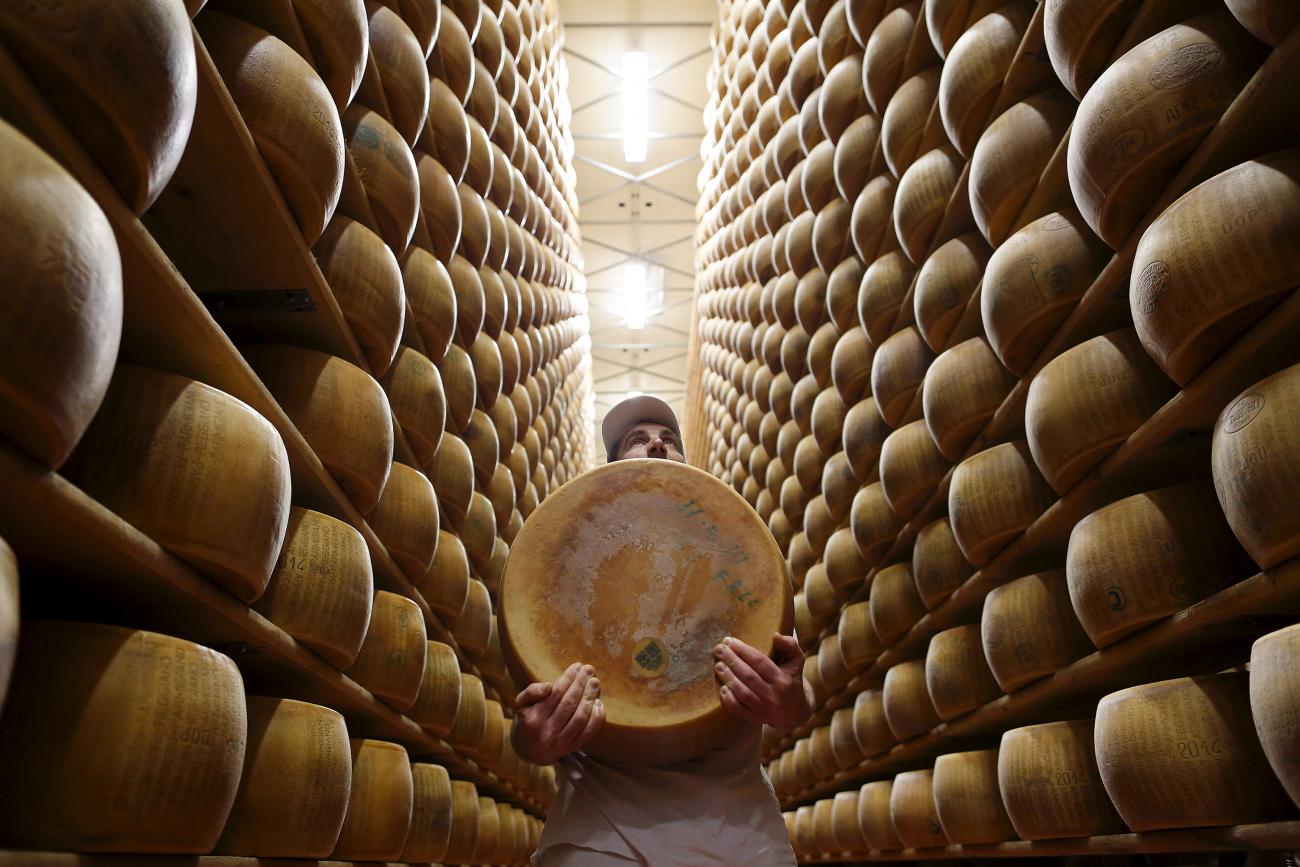 Photo shows a worker holding what must be a heavy wheel of cheese alongside tall shelves stacked neatly with row after row of similar wheels. This is a beautiful photo for its composition showing the symmetry of the stacks. 