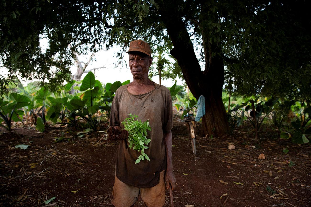 The photo shows the healer standing under a tree holding a handful of leafy herbs. 