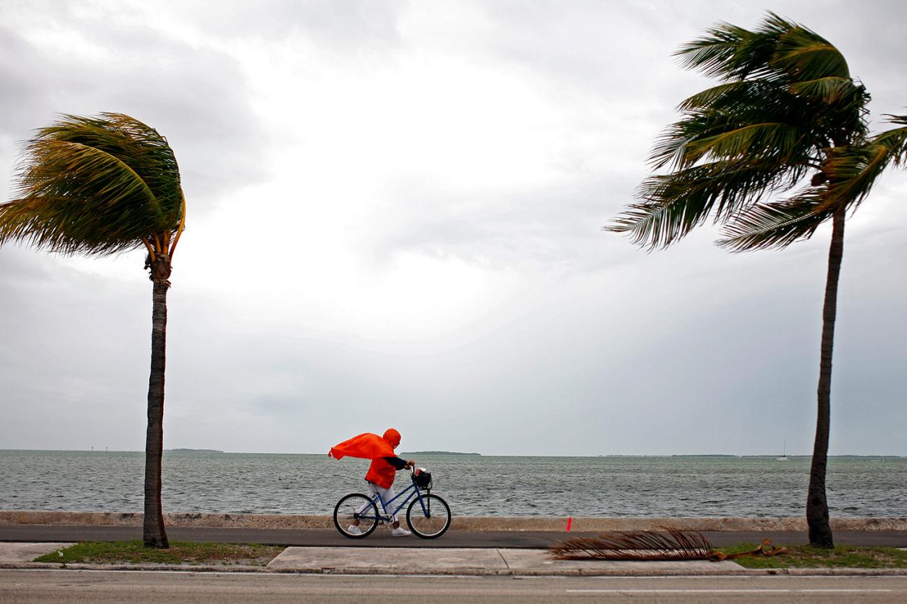 The photo shows the woman walking into a tremendous headwind. Her bright red rain poncho is billowing, and two palm trees, one in front of her and one behind her, are blowing in the same direction. 