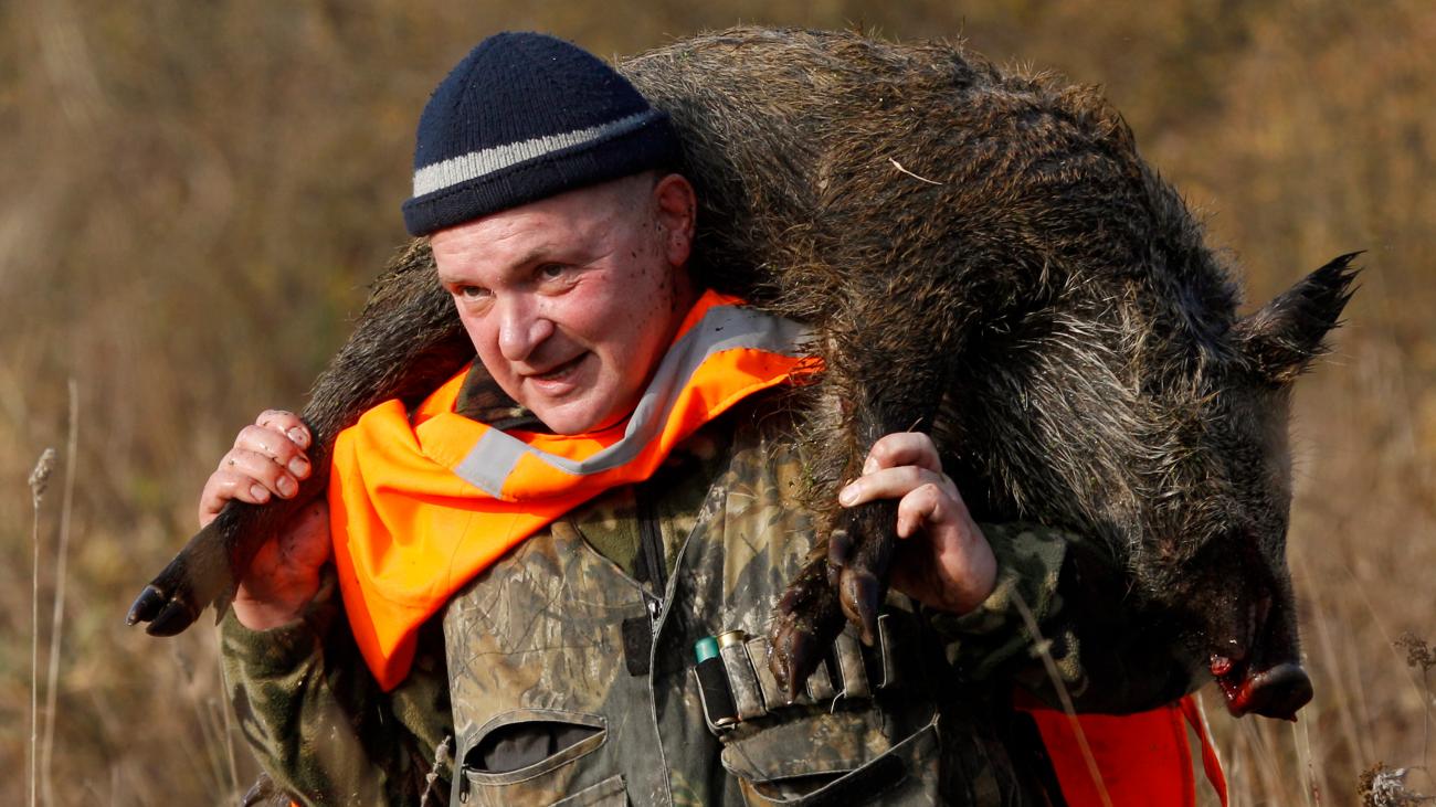 The photo shows a hunter carrying a dead boar on his back. 