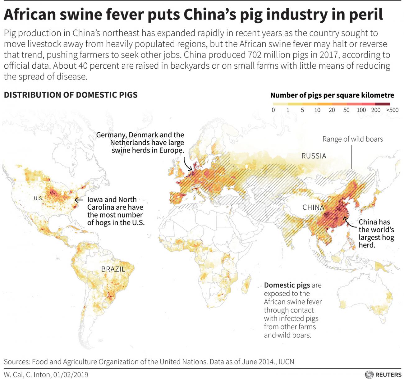 African swine fever puts China's pig industry in peril. Map showing distribution of domestic pigs around the world. REUTERS
