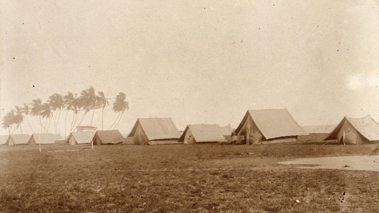 The historic black-and-white photo shows  rows of tents with palm trees to one side. 
