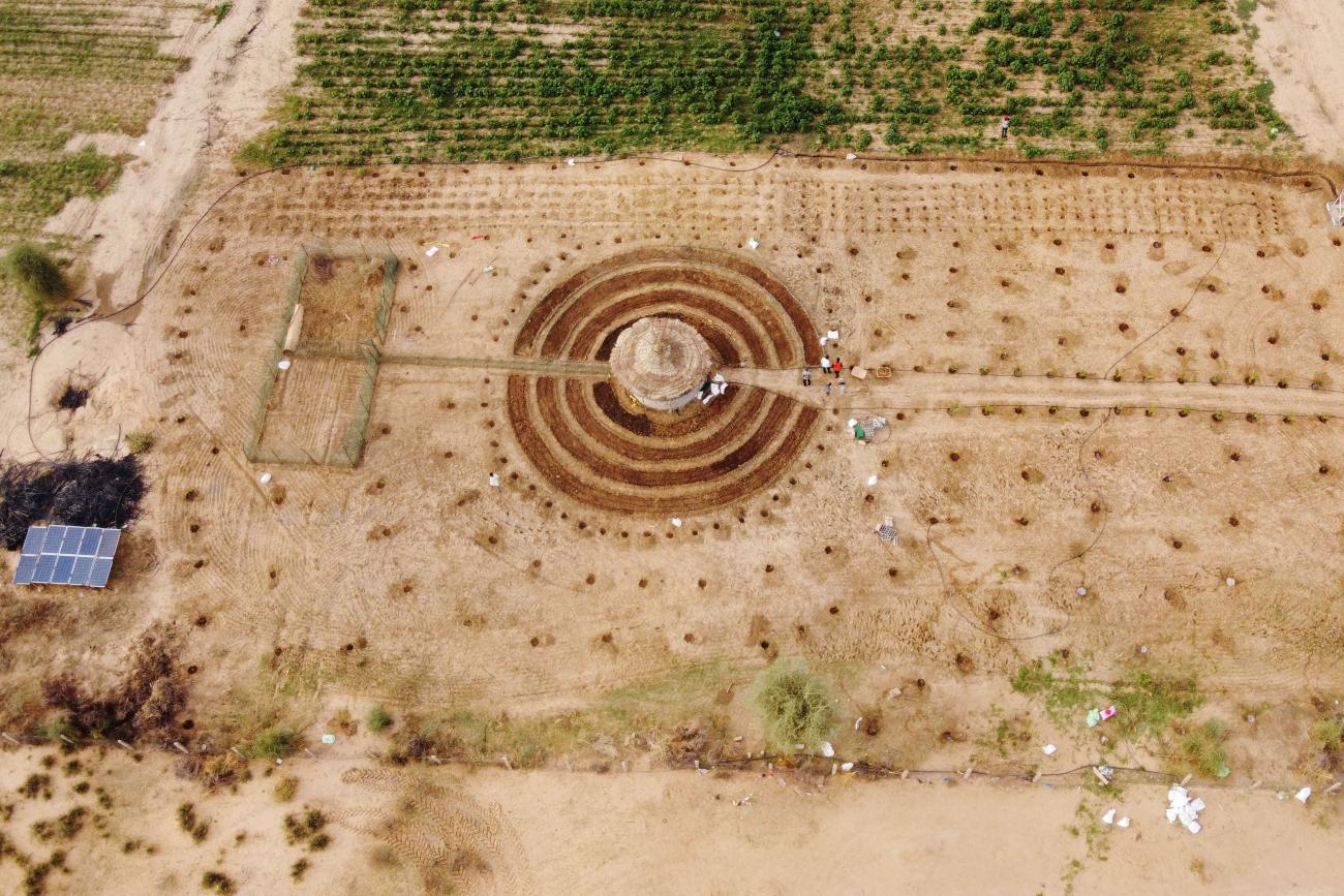 An aerial view shows participants in the Tolou Keur program working in the Tolou Keur garden in Boki Diawe, in the Great Green Wall area, Matam region, Senegal, on July 10, 2021.