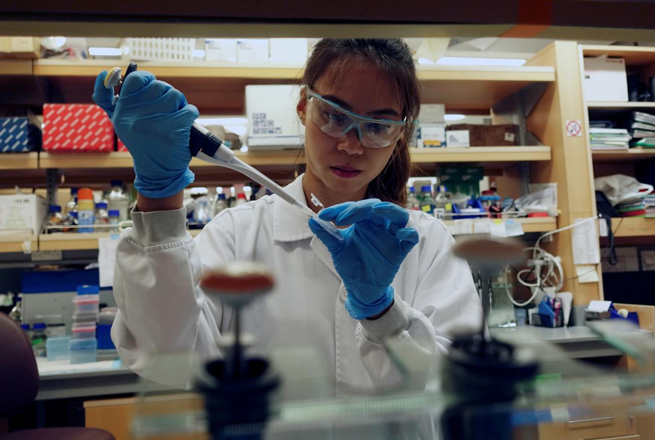 A researcher works in a lab at the Duke-NUS Medical School, which is developing a way to track genetic changes that speed testing of vaccines against the coronavirus disease (COVID-19), in Singapore March 23, 2020.
