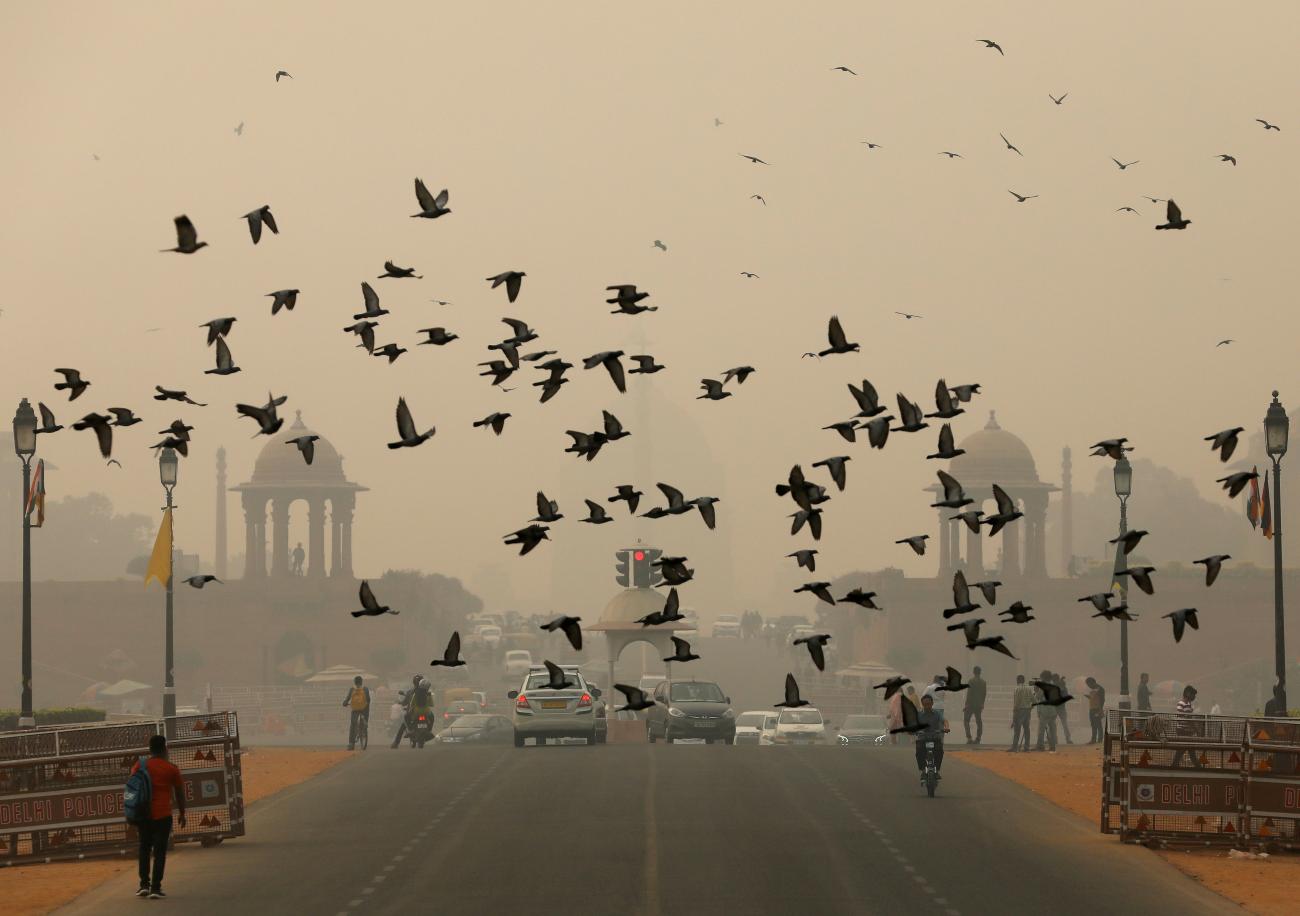 Birds fly as people commute near India's Presidential Palace on a smoggy day in New Delhi, India, November 1, 2019.