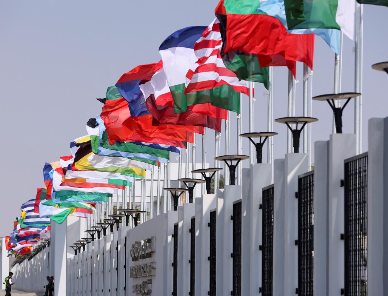 Flags of multiple countries waving.