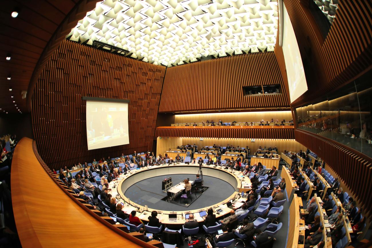 Overview of the World Health Organization's executive board meeting.