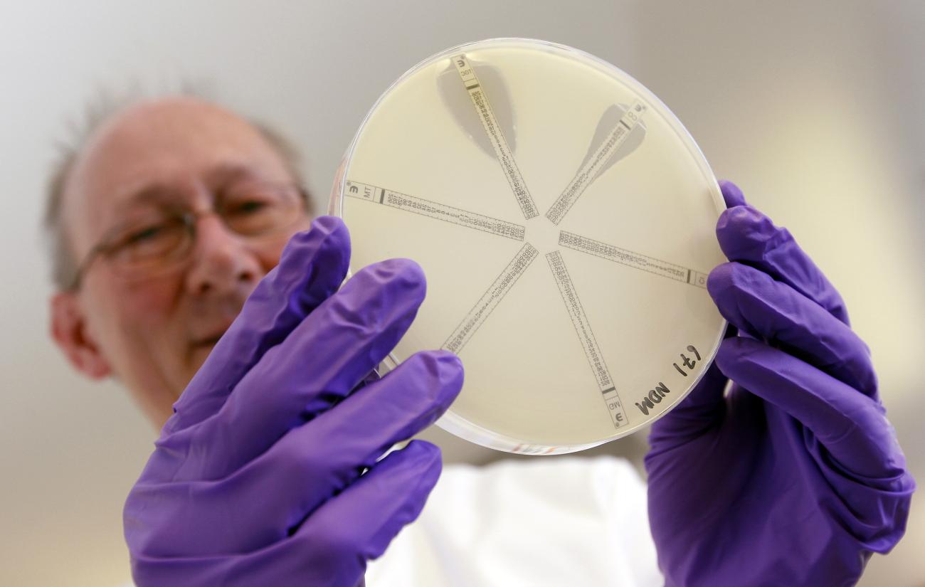 The director of the Antibiotic Resistance Monitoring & Reference Laboratory holds a plate coated with the antibiotic-resistant bacteria called Klebsiella.