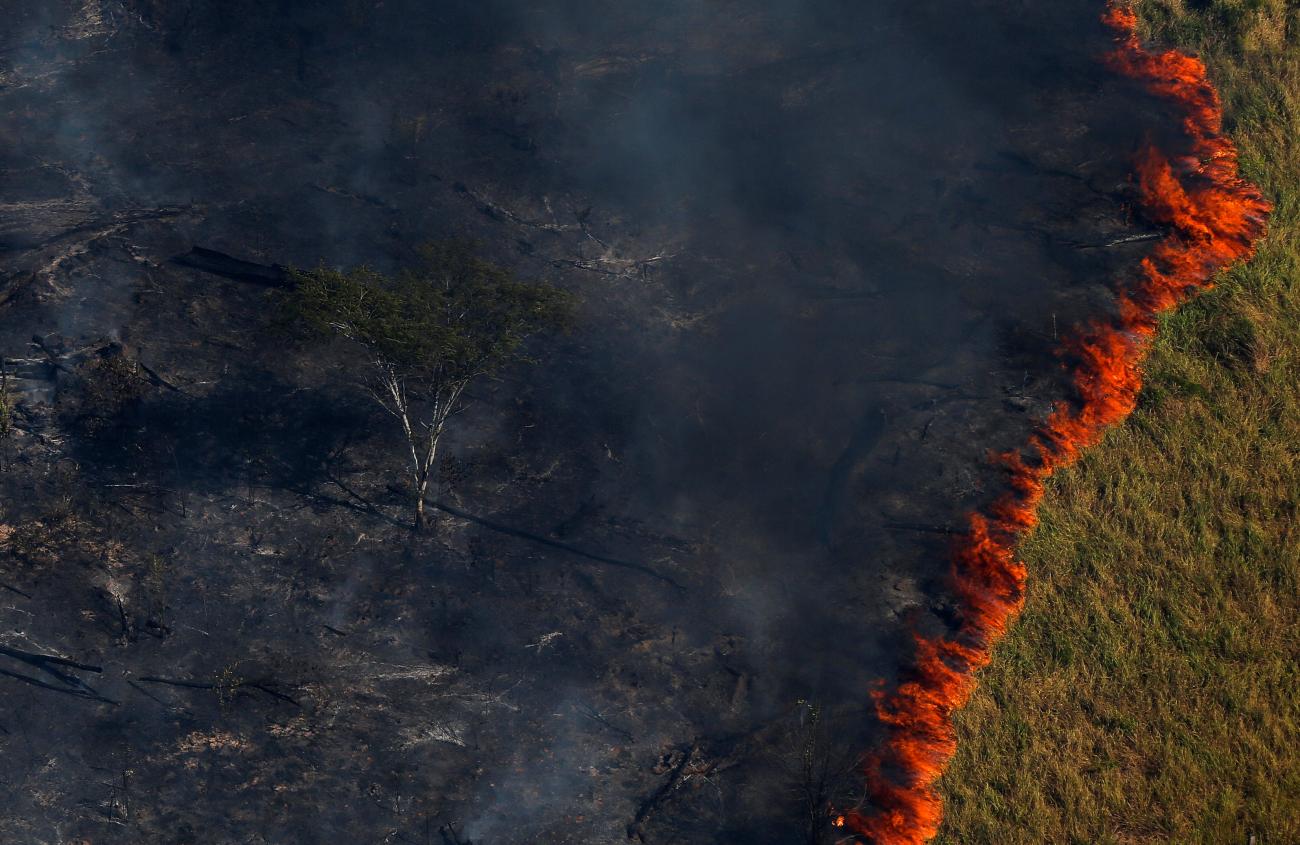 Burning forest is seen in Apui, in the southern region of Amazonas, Brazil, on August 4, 2017. 