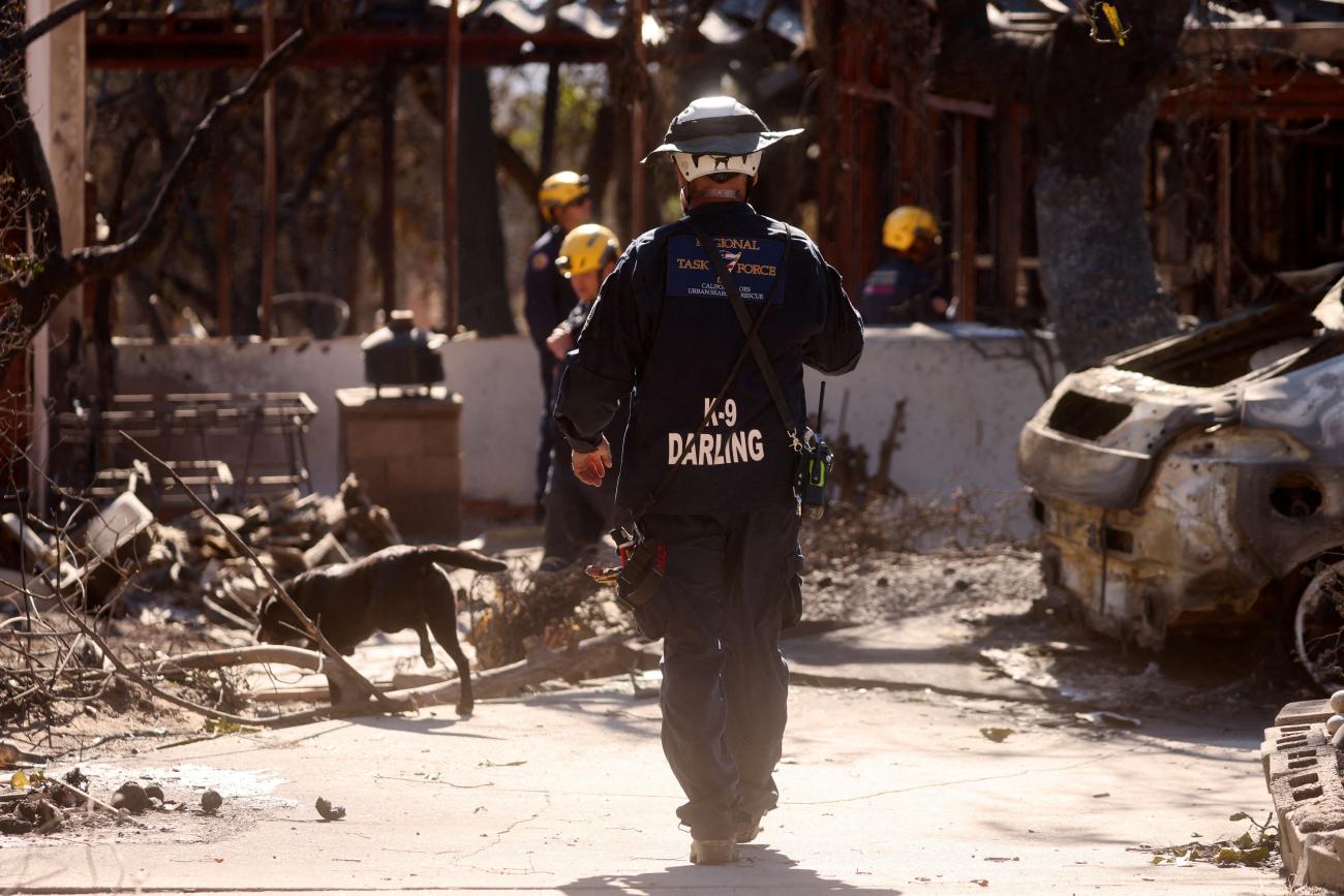 Human recovery dog, Mazie, works with members of the Ventura County Urban Search and Rescue team in an area affected by the Eaton Fire, in Altadena, California, on January 16, 2025.