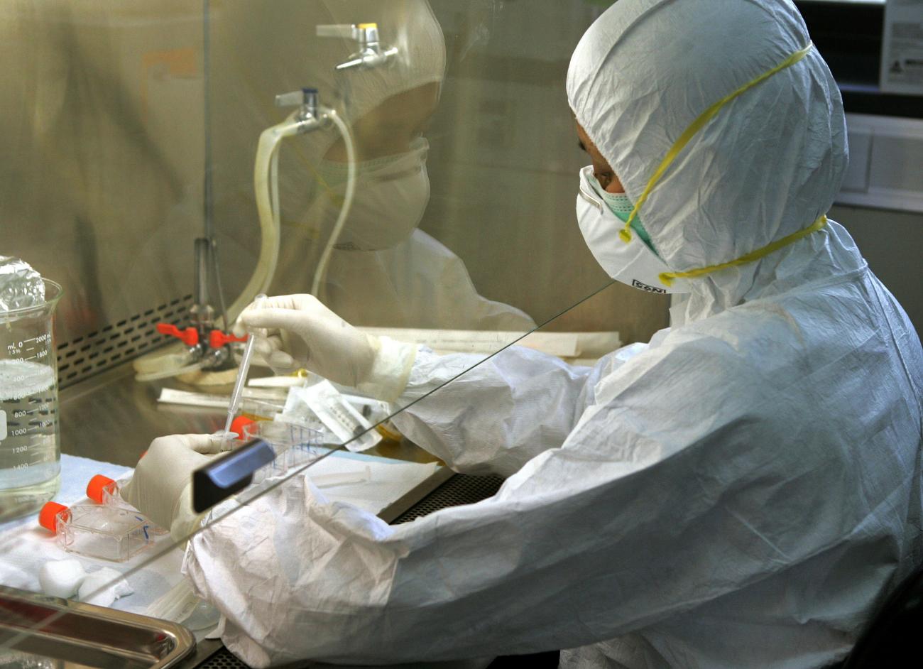 A scientist isolates influenza virus cells while doing tests at the World Health Organization National Influenza Center, in Bangkok, Thailand, on October 21, 2005. 