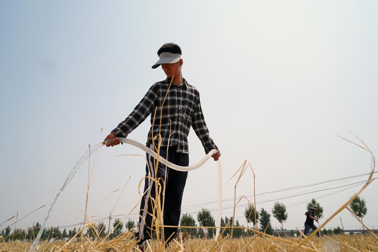 A farmer waters a field of newly planted corn, amid an orange alert for heatwave in the drought-hit region, in Jinan, Shandong province, China, on June 20, 2024.